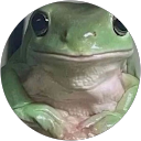Kelsey Shea profile picture